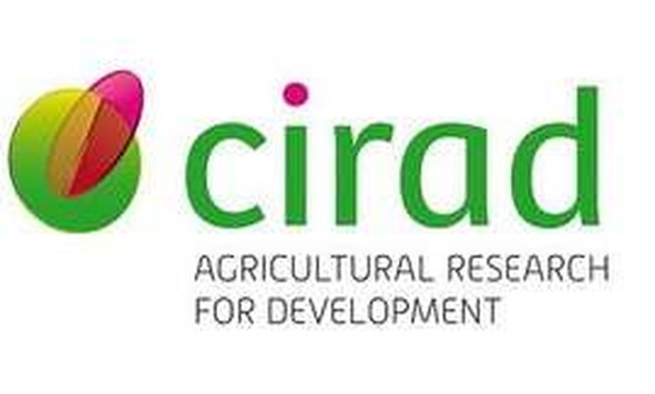 CIRAD